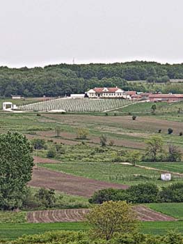 VINARIJA BOJERESKU